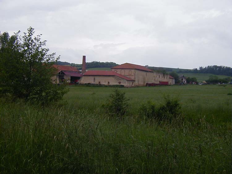 P1010451.jpg