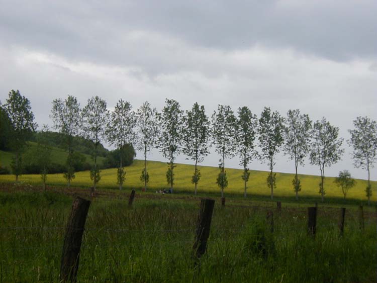 P1010452.jpg