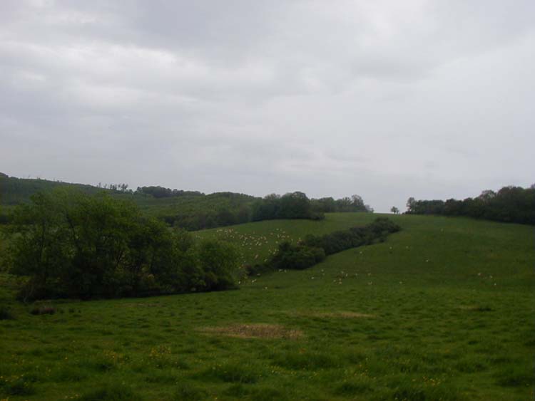 P1010474.jpg
