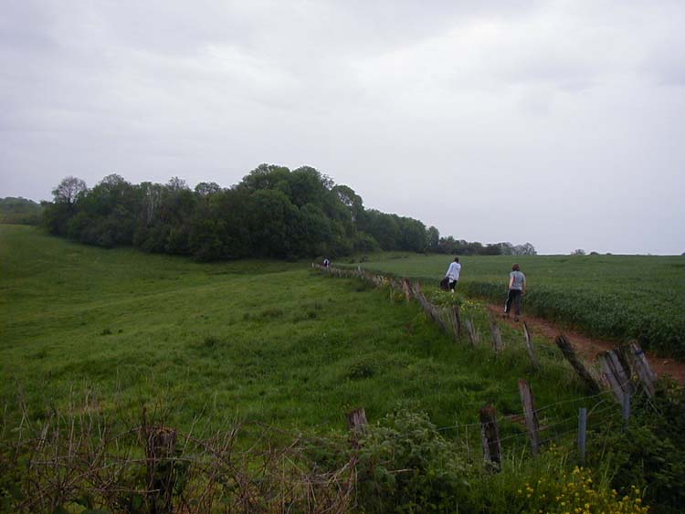 P1010478.jpg