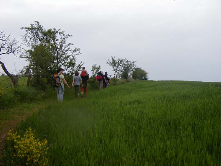 P1010483.jpg
