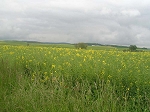 DSCN0127.jpg