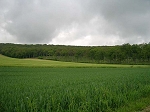DSCN0155.jpg