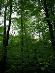 DSCN0182.jpg