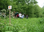 DSCN0185.jpg