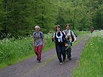 DSCN0188.jpg