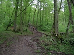 DSCN0205.jpg