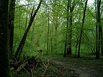 DSCN0211.jpg