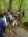 P1010388.jpg