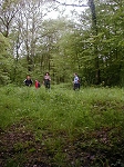P1010402.jpg