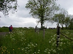 P1010427.jpg