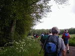 P1010431.jpg