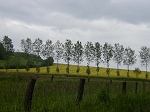 P1010452.jpg