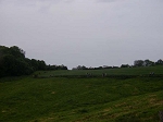 P1010477.jpg