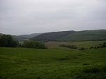 P1010479.jpg