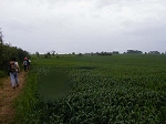 P1010481.jpg