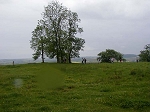 P1010486.jpg