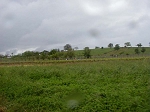 P1010497.jpg