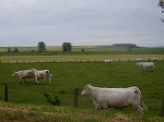 P1010500.jpg
