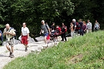 IP4X8824.jpg
