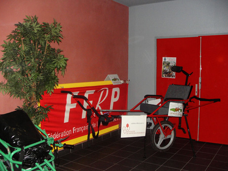 KIF_5779.jpg