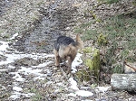 KIF_2739.jpg