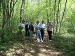 KIF_3140.jpg