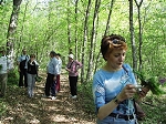 KIF_3141.jpg