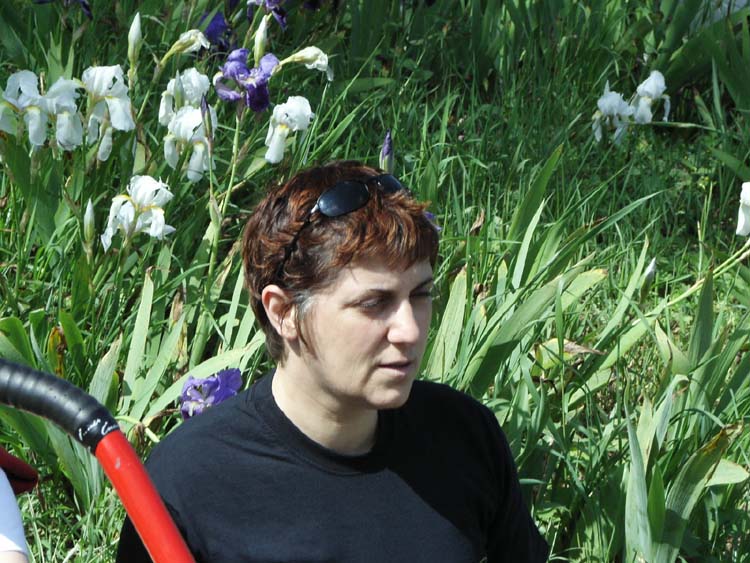 KIF_3225.jpg