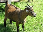 KIF_3235.jpg