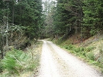 KIF_2828.jpg