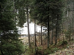 KIF_2831.jpg