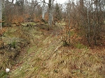 KIF_2832.jpg