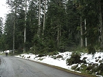 KIF_2841.jpg