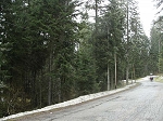KIF_2842.jpg