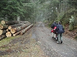 KIF_2851.jpg