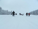 KIF_2615.jpg