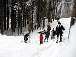 KIF_2646.jpg