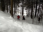 KIF_2658.jpg