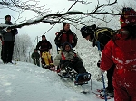 kif_2610d.jpg