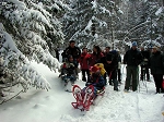 kif_2622d.jpg