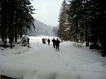 kif_2676.jpg