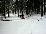 kif_2676b.jpg