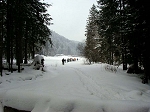 kif_2676d.jpg