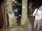 P1010036.jpg