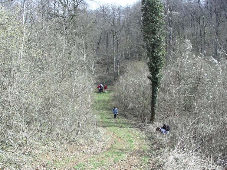 KIF_2974.jpg