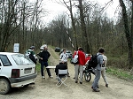 KIF_2973.jpg