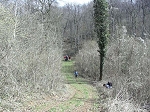 KIF_2974.jpg