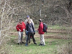 KIF_2975.jpg