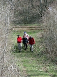KIF_2977.jpg
